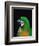 Green and Gold Macaw, Galveston Botanical Garden, Moody Gardens, Texas, USA-Dee Ann Pederson-Framed Photographic Print