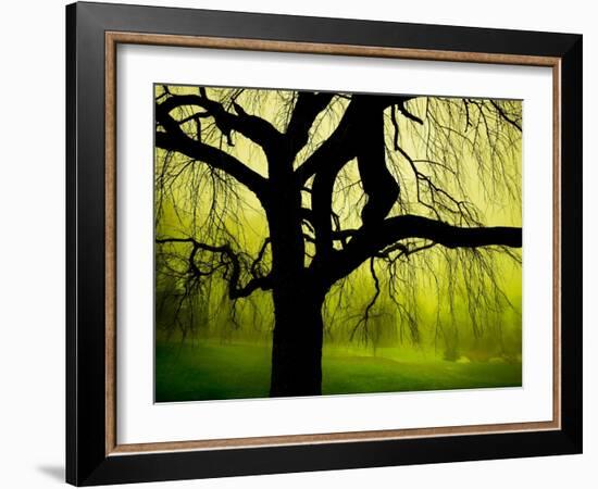 Green and Golden Landscape behind Tree-Jan Lakey-Framed Photographic Print