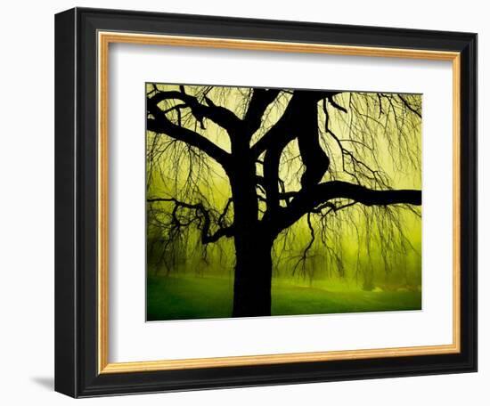 Green and Golden Landscape behind Tree-Jan Lakey-Framed Photographic Print