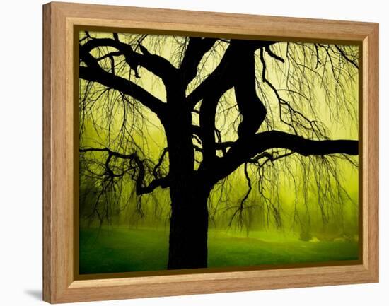 Green and Golden Landscape behind Tree-Jan Lakey-Framed Premier Image Canvas