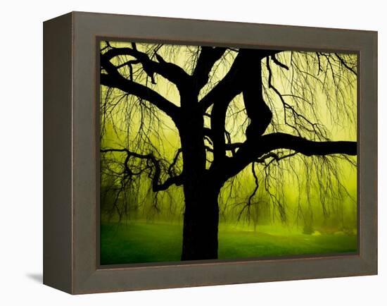 Green and Golden Landscape behind Tree-Jan Lakey-Framed Premier Image Canvas