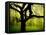 Green and Golden Landscape behind Tree-Jan Lakey-Framed Premier Image Canvas