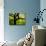Green and Golden Landscape behind Tree-Jan Lakey-Photographic Print displayed on a wall