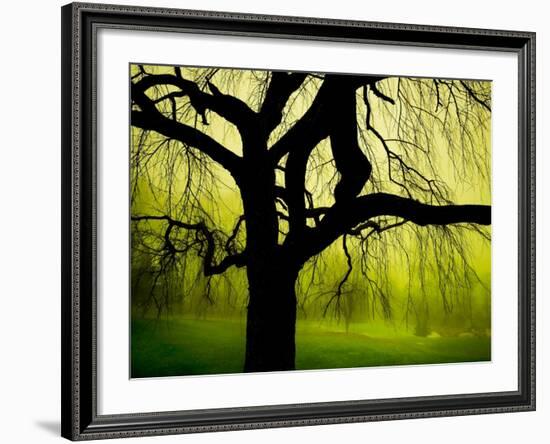 Green and Golden Landscape behind Tree-Jan Lakey-Framed Photographic Print