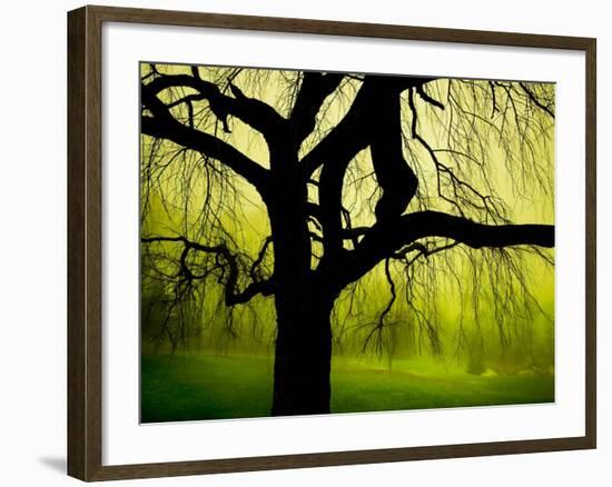 Green and Golden Landscape behind Tree-Jan Lakey-Framed Photographic Print