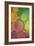 Green and Orange Drops-Cora Niele-Framed Photographic Print