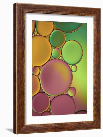 Green and Orange Drops-Cora Niele-Framed Photographic Print