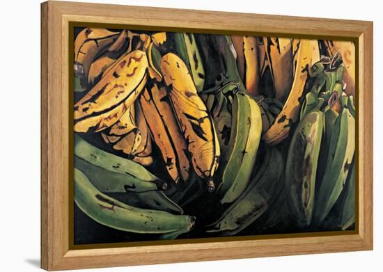 Green and Ripe Plantains, 2009-Pedro Diego Alvarado-Framed Premier Image Canvas