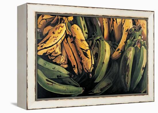 Green and Ripe Plantains, 2009-Pedro Diego Alvarado-Framed Premier Image Canvas