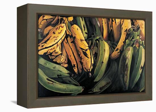 Green and Ripe Plantains, 2009-Pedro Diego Alvarado-Framed Premier Image Canvas