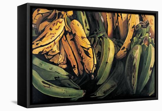 Green and Ripe Plantains, 2009-Pedro Diego Alvarado-Framed Premier Image Canvas