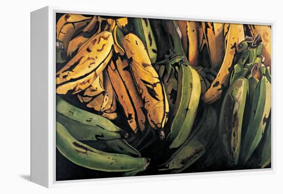 Green and Ripe Plantains, 2009-Pedro Diego Alvarado-Framed Premier Image Canvas