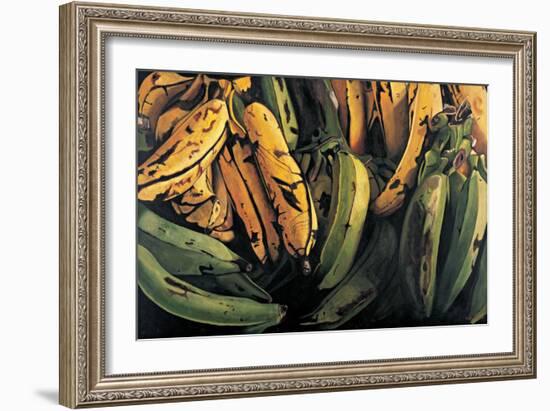 Green and Ripe Plantains, 2009-Pedro Diego Alvarado-Framed Giclee Print