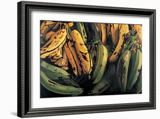 Green and Ripe Plantains, 2009-Pedro Diego Alvarado-Framed Giclee Print