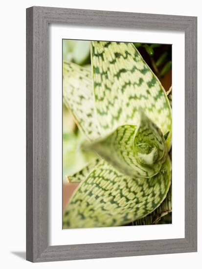 Green and White I-Erin Berzel-Framed Photographic Print