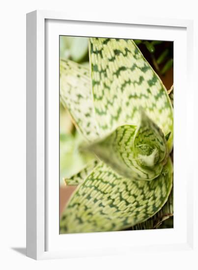 Green and White I-Erin Berzel-Framed Photographic Print