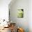 Green and White I-Erin Berzel-Mounted Photographic Print displayed on a wall