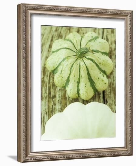 Green and White Striped Patty Pan Squash-Janne Peters-Framed Photographic Print