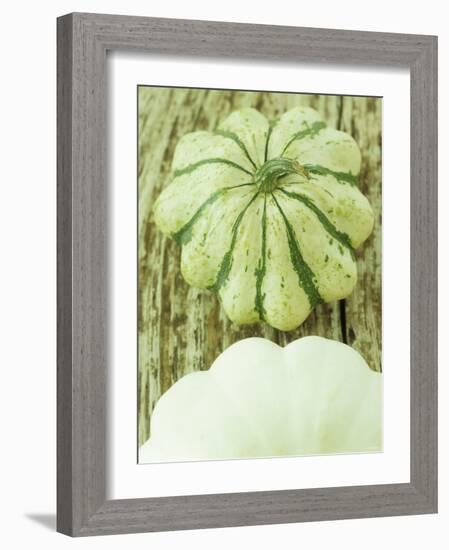 Green and White Striped Patty Pan Squash-Janne Peters-Framed Photographic Print