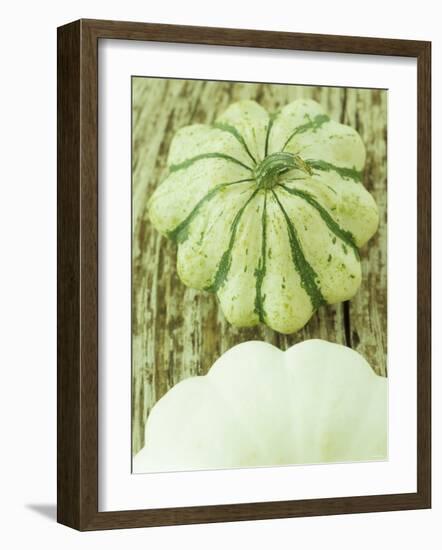 Green and White Striped Patty Pan Squash-Janne Peters-Framed Photographic Print