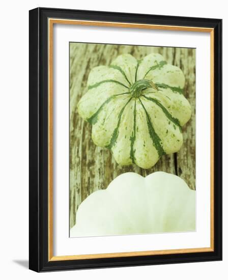 Green and White Striped Patty Pan Squash-Janne Peters-Framed Photographic Print
