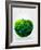 Green Apple - Geometric Shape-cienpies-Framed Art Print