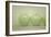 Green Apple Still Life-null-Framed Photographic Print