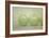 Green Apple Still Life-null-Framed Photographic Print