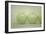 Green Apple Still Life-null-Framed Photographic Print