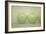 Green Apple Still Life-null-Framed Photographic Print