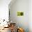 Green Apple Top-Steve Gadomski-Photographic Print displayed on a wall