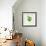 Green Apple-Sydney Edmunds-Framed Giclee Print displayed on a wall