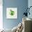 Green Apple-Sydney Edmunds-Giclee Print displayed on a wall