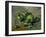 Green Apples, Around 1873-Paul Cézanne-Framed Giclee Print