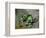 Green Apples, c.1872-73-Paul Cézanne-Framed Premium Giclee Print