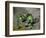 Green Apples, c.1872-73-Paul Cézanne-Framed Premium Giclee Print