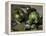 Green Apples, c.1873-Paul Cézanne-Framed Premier Image Canvas