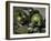 Green Apples, c.1873-Paul Cézanne-Framed Giclee Print