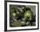 Green Apples, c.1873-Paul Cézanne-Framed Giclee Print