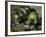 Green Apples, c.1873-Paul Cézanne-Framed Giclee Print