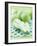 Green Apples, Whole and Halved-Maja Smend-Framed Photographic Print