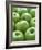 Green Apples-Iain Bagwell-Framed Photographic Print