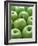 Green Apples-Iain Bagwell-Framed Photographic Print