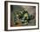 Green Apples-Paul Cézanne-Framed Art Print