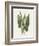 Green Arum-Gwendolyn Babbitt-Framed Art Print