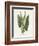 Green Arum-Gwendolyn Babbitt-Framed Art Print