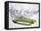 Green Asparagus Falling into Water-Kröger & Gross-Framed Premier Image Canvas