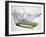 Green Asparagus Falling into Water-Kröger & Gross-Framed Photographic Print