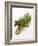 Green Asparagus on Chopping Board-Klaus Arras-Framed Photographic Print