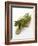 Green Asparagus on Chopping Board-Klaus Arras-Framed Photographic Print